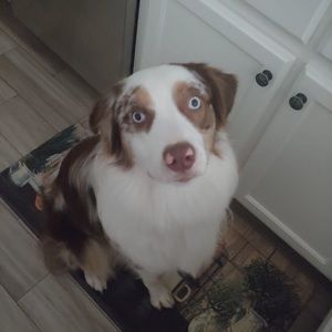 Meet your Posher, Veronica